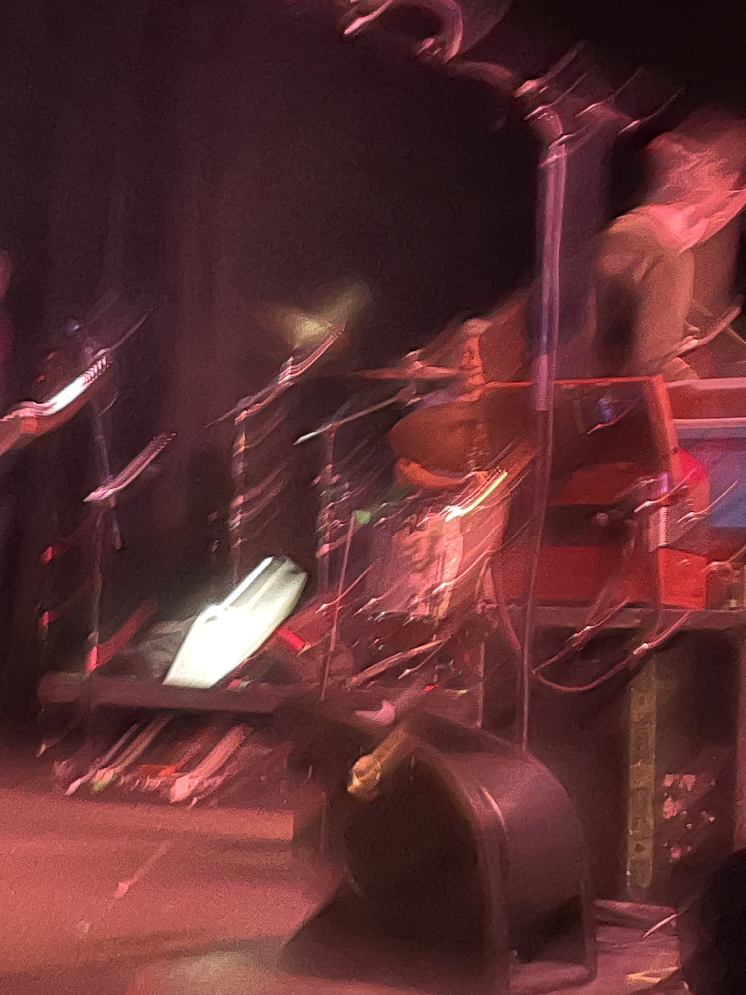 A blurry photo of John Linnell and Marty Beller on stage at their instruments.