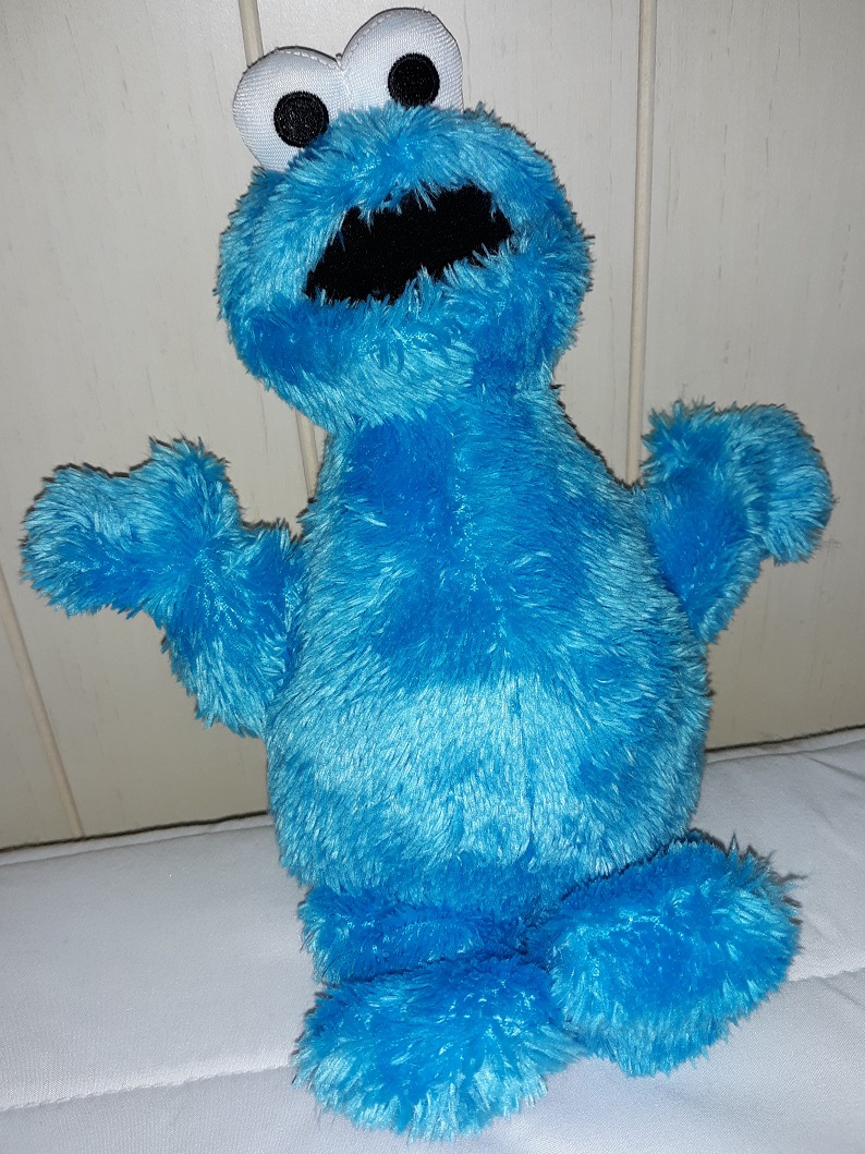 A plush doll of Cookie Monster.